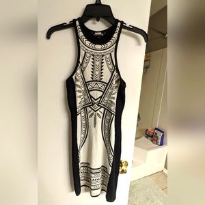 Express mini dress